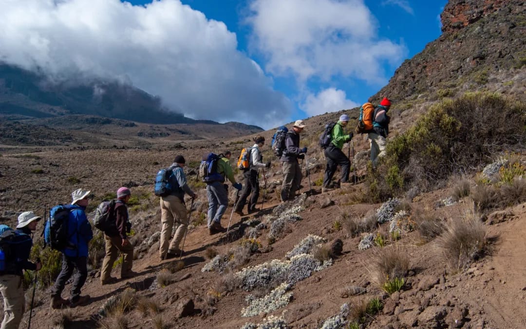 Your Kilimanjaro Climbing Guide