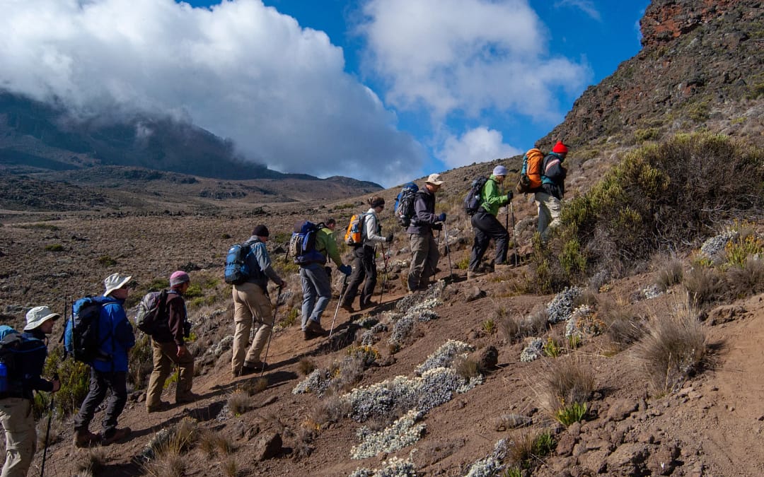 Your Kilimanjaro Climbing Guide