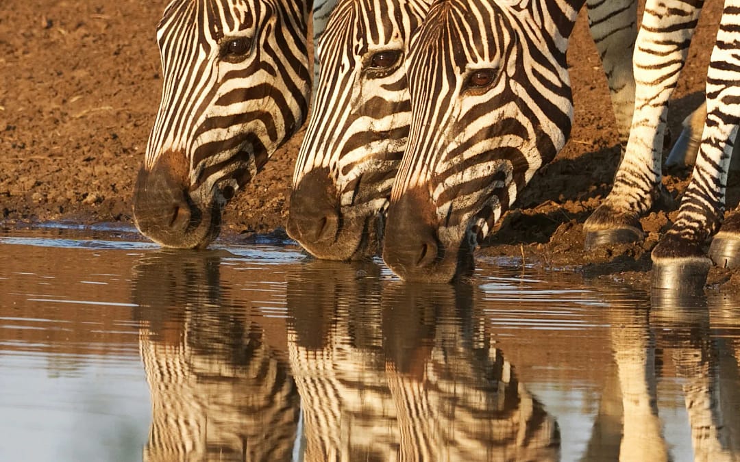 A Comprehensive Guide to Africa’s Best-Known Cities