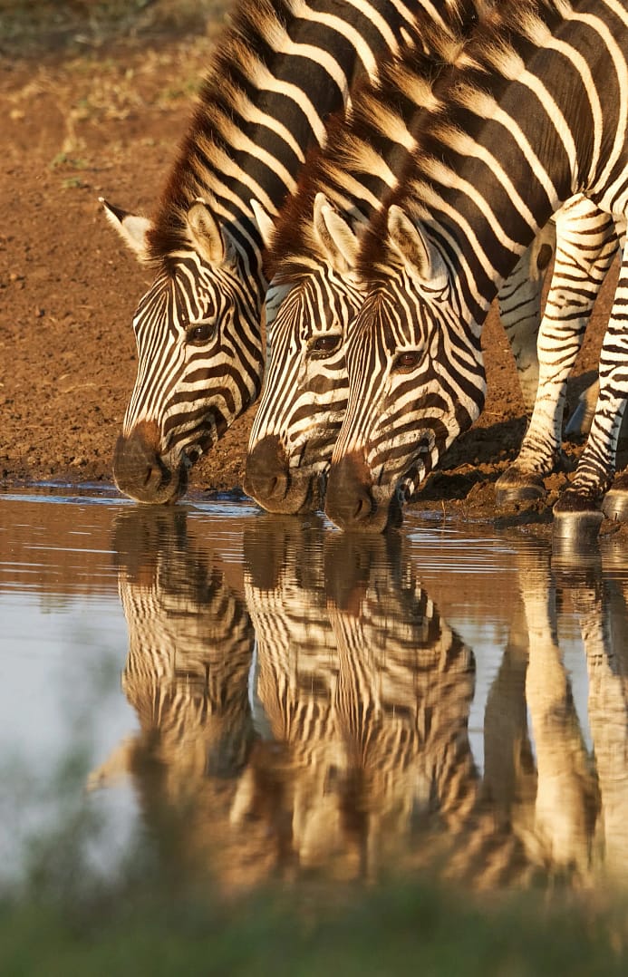 A Comprehensive Guide to Africa's Best-Known Cities